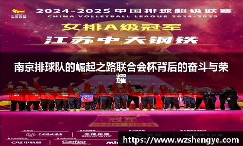 南京排球队的崛起之路联合会杯背后的奋斗与荣耀